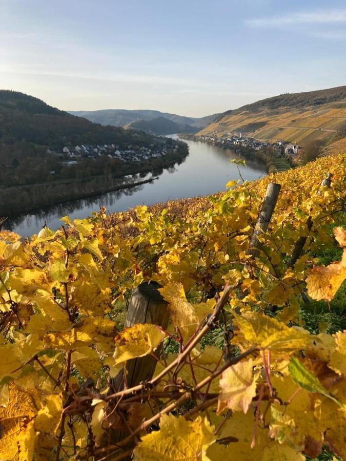 Hallenbach Zell